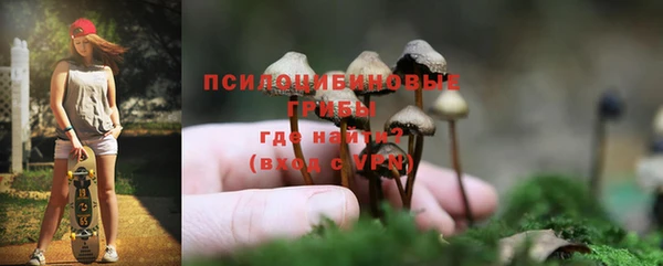 spice Белоозёрский