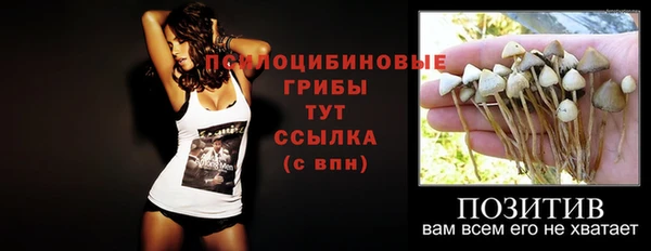 наркотики Богданович
