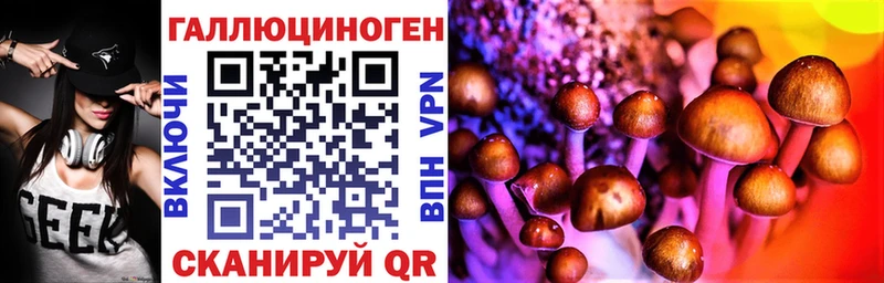 Галлюциногенные грибы Psilocybine cubensis  МЕГА вход  Сковородино 