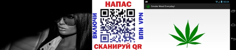 МАРИХУАНА конопля  Сковородино 